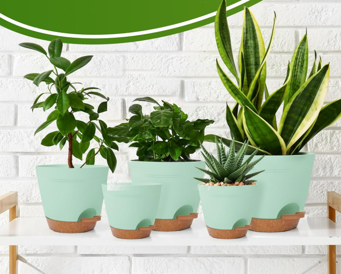 Self-Watering Planter Set with Reservoir and Drainage Holes - Image 2