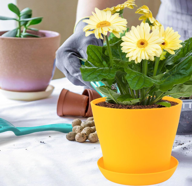 Colorful Indoor/Outdoor Planter with Saucer and Drainage Holes - Image 2