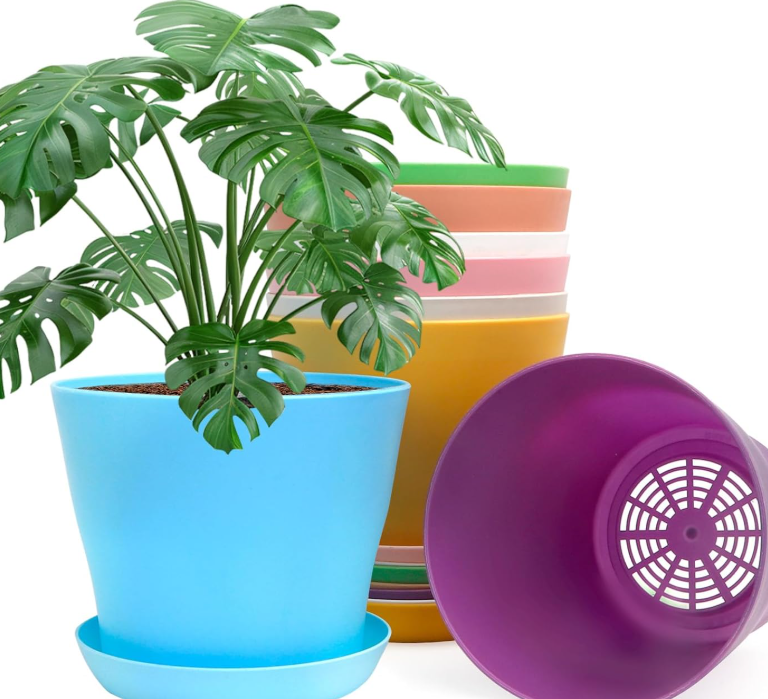 Colorful Indoor/Outdoor Planter with Saucer and Drainage Holes