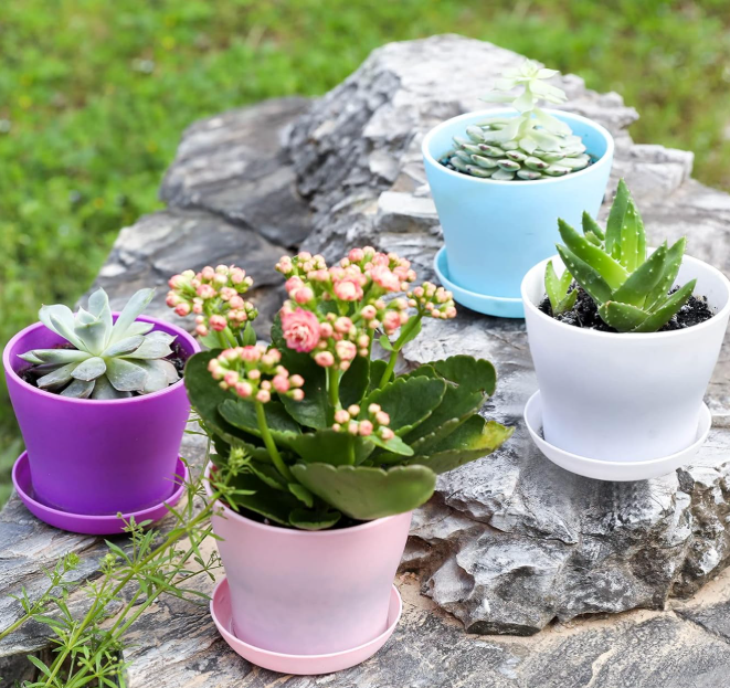Modern Decorative Mini Seedling Pot Set with Saucers - Image 2