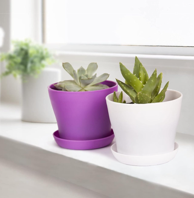 Modern Decorative Mini Seedling Pot Set with Saucers
