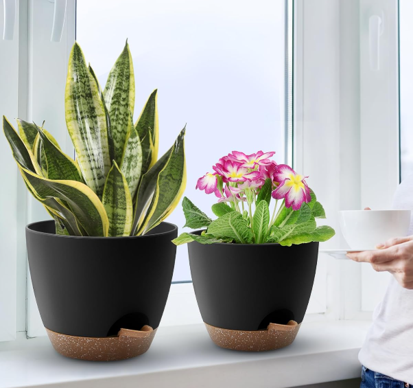 Self-Absorbing Planter Set with Saucer and Drainage Holes