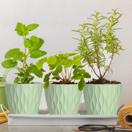 6-Piece Indoor Planter Set with Saucers and Drainage Holes