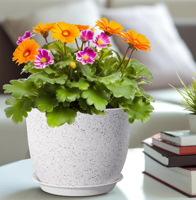 Modern-Style Plastic Planter Set with Saucers and Drainage Holes