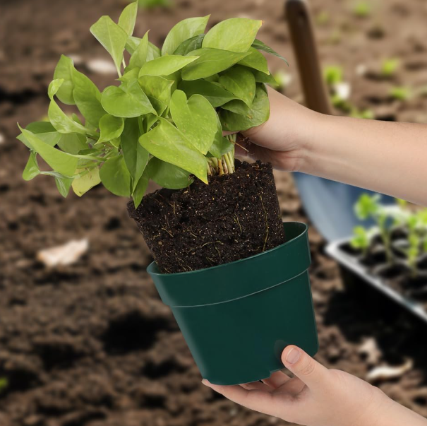 Durable Seedling Pot Set with Drainage Holes (Mixed Sizes) - Image 2