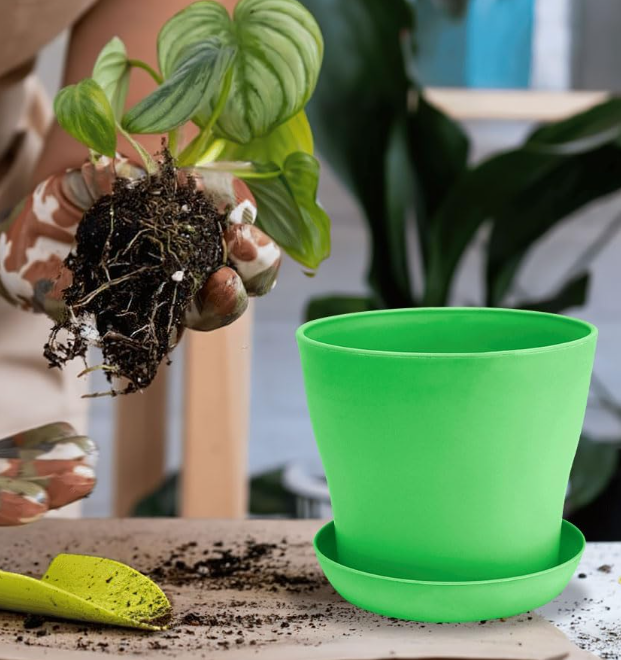 Set Of Small, Colorful Plastic Seedling Pots With Drainage Holes - Image 2