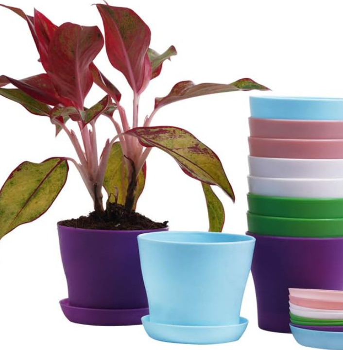 Mini Indoor Seedling Pot Set with Saucers and Decorative Finish - Image 2