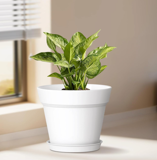 Colorful Plastic Seedling Pots With Trays And Drainage Holes - Image 2