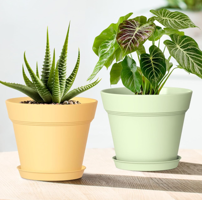 Colorful Plastic Seedling Pots With Trays And Drainage Holes