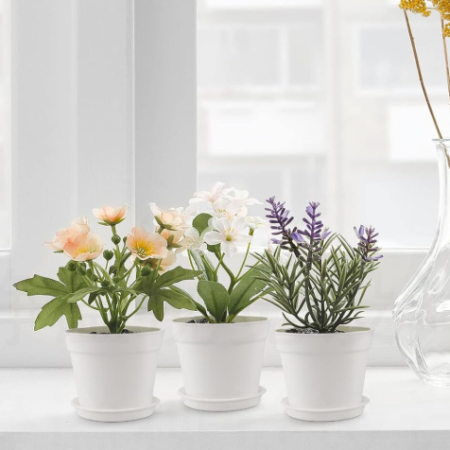 Small Plastic Planter Set with Saucers and Drainage Holes