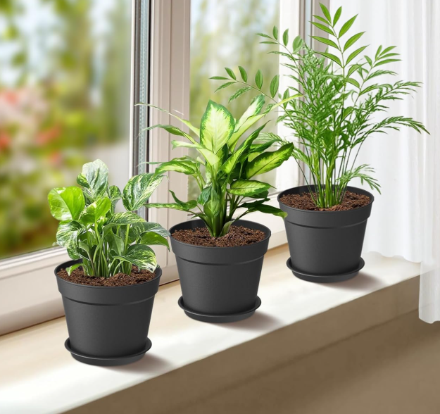 Stackable Black Seedling Pots with Saucers and Drainage Holes