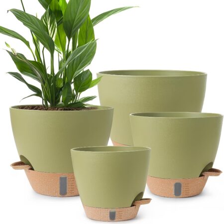 Large Self-Watering Plastic Planters With Deep Water Reservoirs