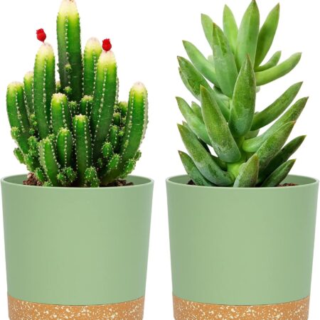 Modern Home Decor Gardening Planters With Trays And Drainage Holes