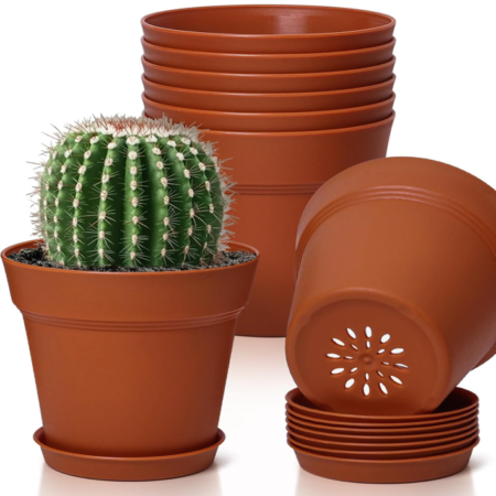 Small Decorative Seedling Pot Set with Saucers and Drainage Holes