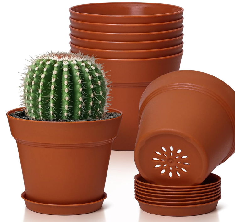 Small Decorative Seedling Pot Set with Saucers and Drainage Holes